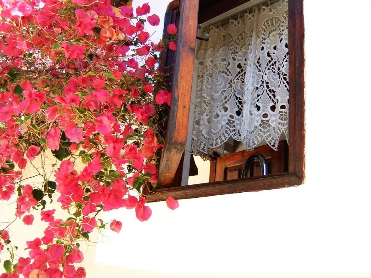 Yiayia'S Home Chalki Town المظهر الخارجي الصورة